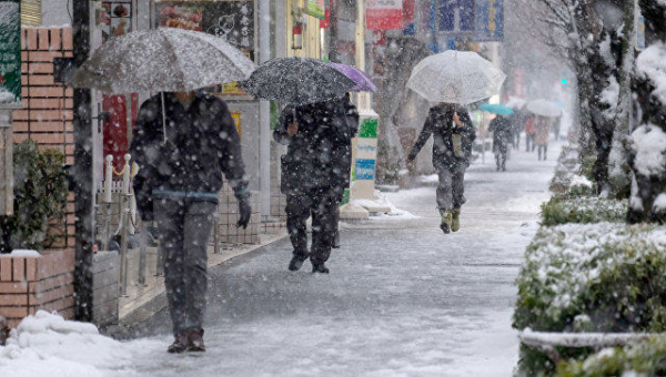 Korona dünyada havanın temperaturunu dəyişdi